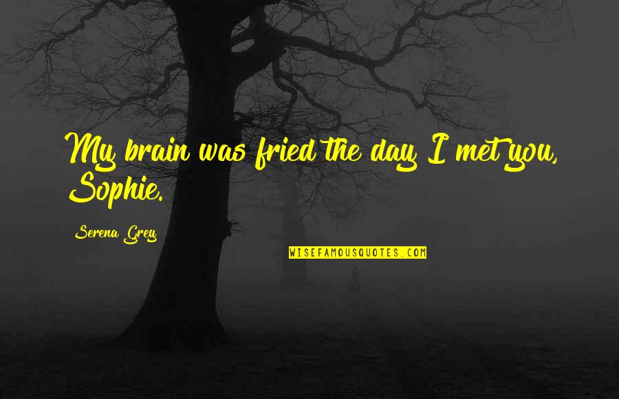 I Just Met You Love Quotes By Serena Grey: My brain was fried the day I met