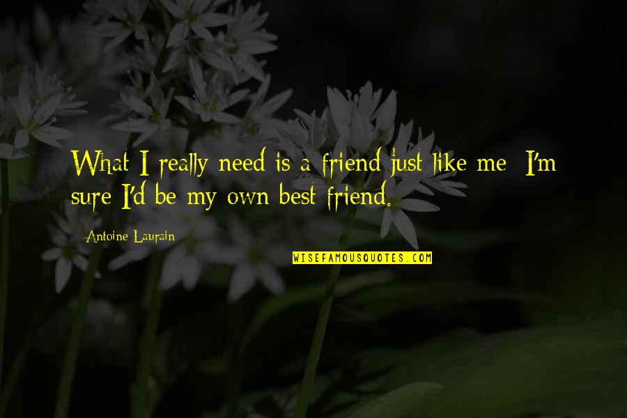 I Just Need Me Quotes By Antoine Laurain: What I really need is a friend just