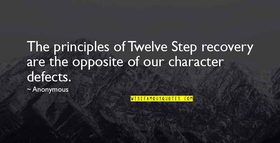 I Just Sit Back And Watch Quotes By Anonymous: The principles of Twelve Step recovery are the