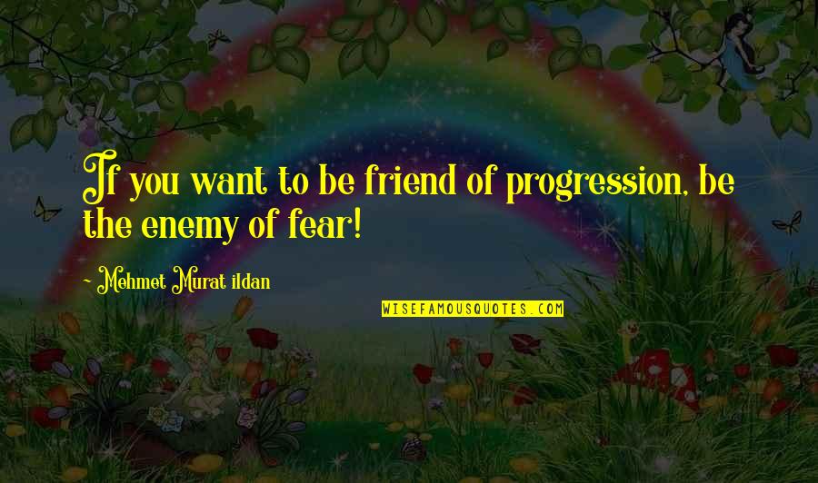 I Just Want A Best Friend Quotes By Mehmet Murat Ildan: If you want to be friend of progression,