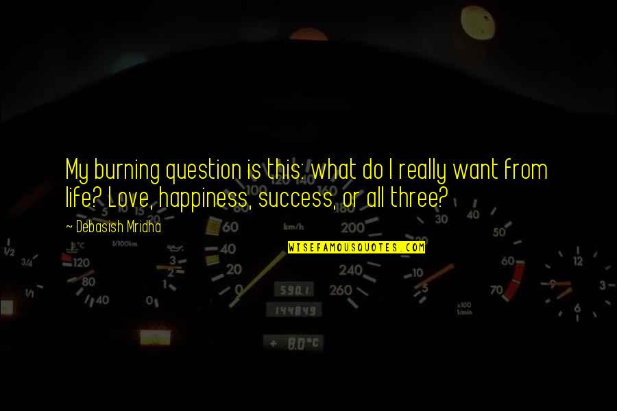 I Just Want Happiness Quotes By Debasish Mridha: My burning question is this: what do I