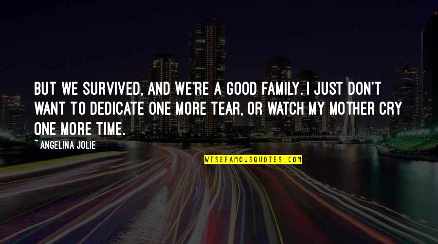 I Just Want More Quotes By Angelina Jolie: But we survived, and we're a good family.