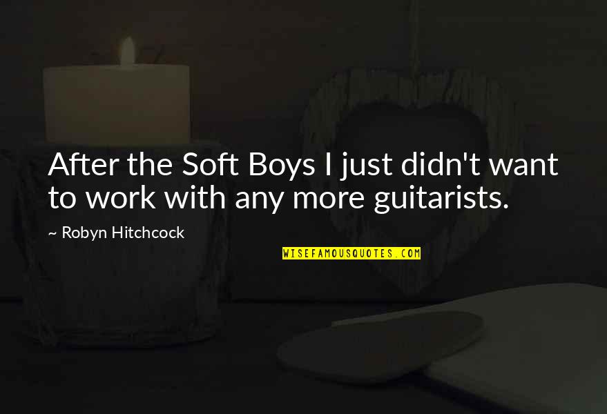 I Just Want More Quotes By Robyn Hitchcock: After the Soft Boys I just didn't want