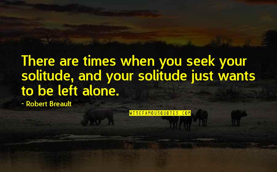 I Just Want To Be Alone Quotes By Robert Breault: There are times when you seek your solitude,