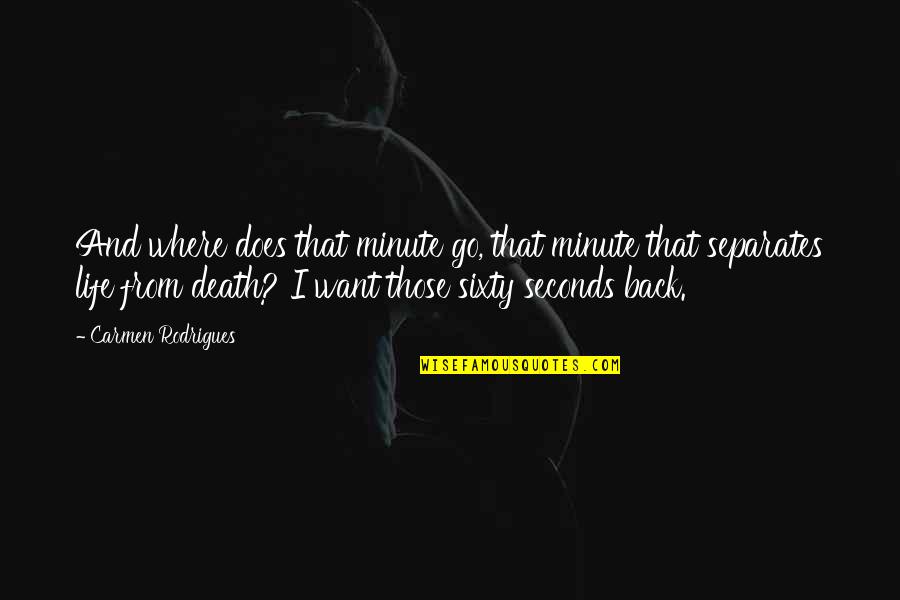 I Just Want You Back In My Life Quotes By Carmen Rodrigues: And where does that minute go, that minute