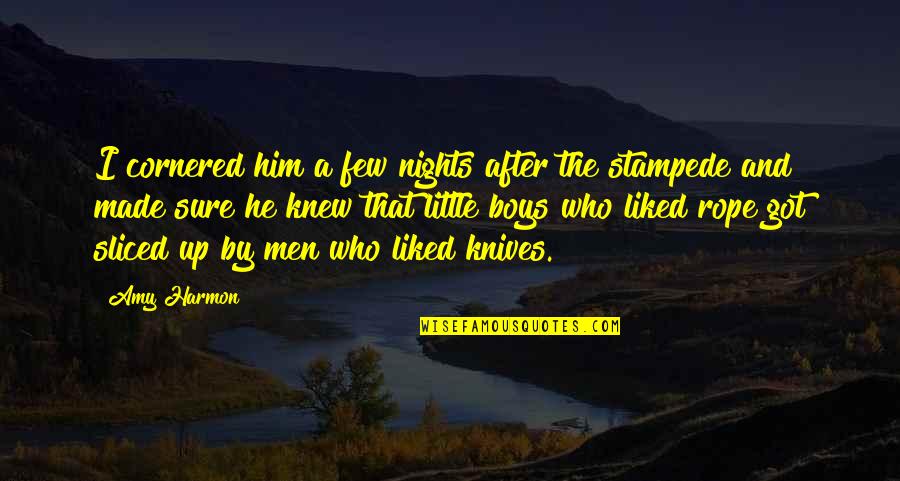 I Knew Him Quotes By Amy Harmon: I cornered him a few nights after the