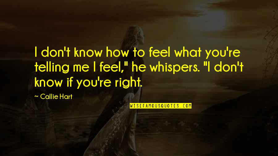 I Know How You Feel Quotes By Callie Hart: I don't know how to feel what you're