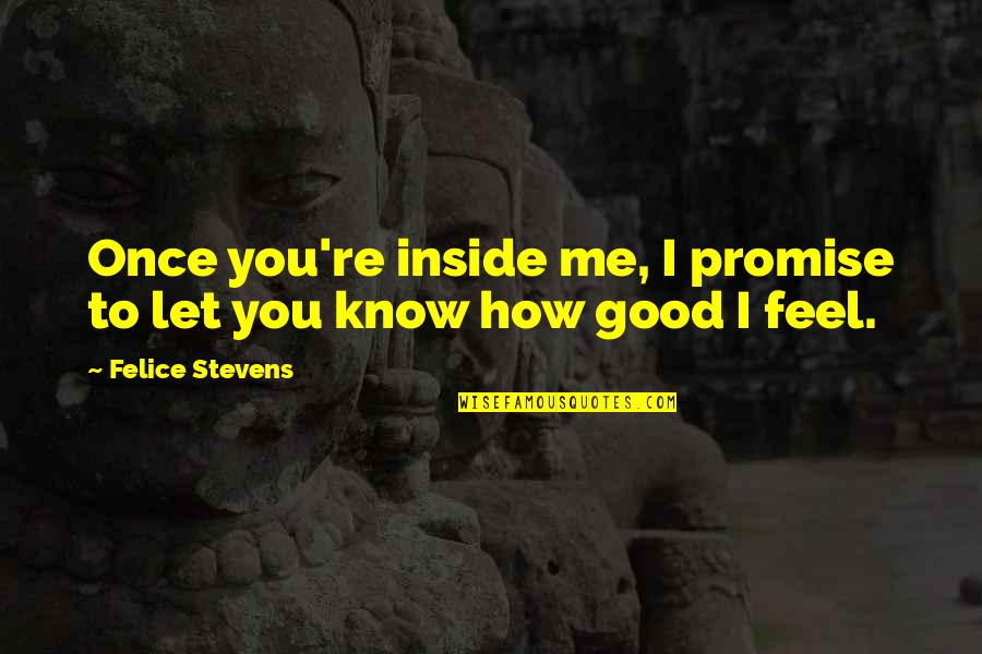 I Know How You Feel Quotes By Felice Stevens: Once you're inside me, I promise to let