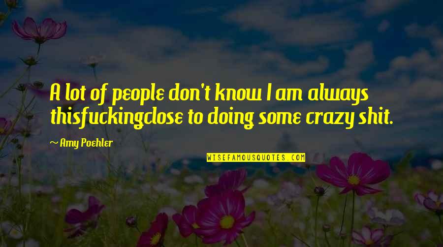 I Know I Am Crazy Quotes By Amy Poehler: A lot of people don't know I am