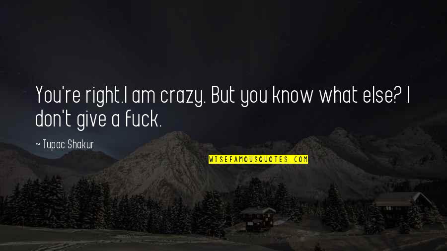 I Know I Am Crazy Quotes By Tupac Shakur: You're right.I am crazy. But you know what