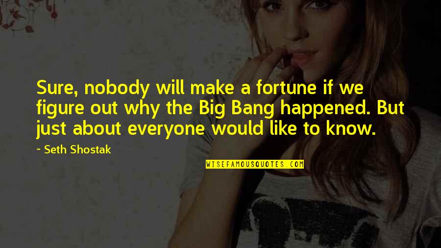 I Know I Will Make It Quotes By Seth Shostak: Sure, nobody will make a fortune if we