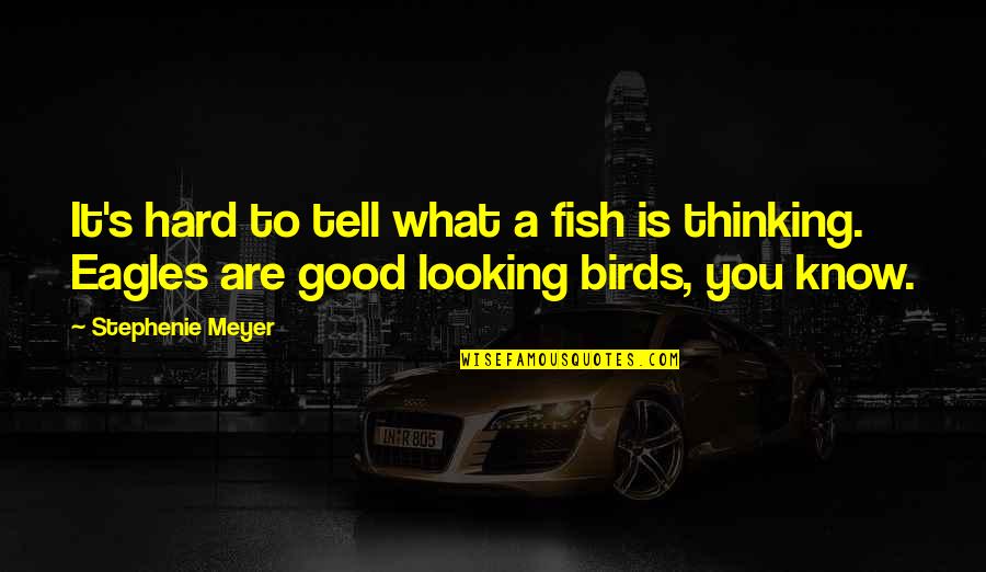 I Know I'm Not Good Looking Quotes By Stephenie Meyer: It's hard to tell what a fish is