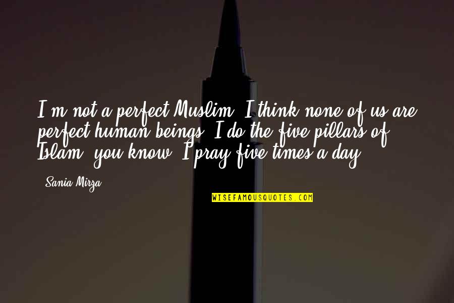 I Know I'm Not Perfect Quotes By Sania Mirza: I'm not a perfect Muslim; I think none