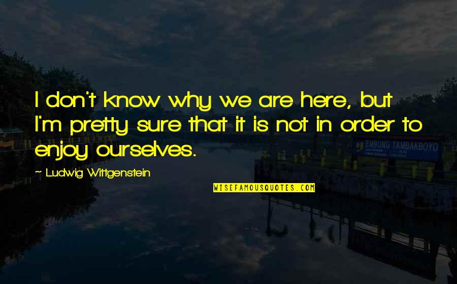 I Know I'm Not That Pretty Quotes By Ludwig Wittgenstein: I don't know why we are here, but