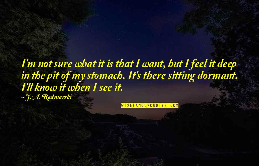 I Know It When I See It Quotes By J.A. Redmerski: I'm not sure what it is that I I Know It When I See It Quotes By J.A. Redmerski: I'm not sure what it is that I