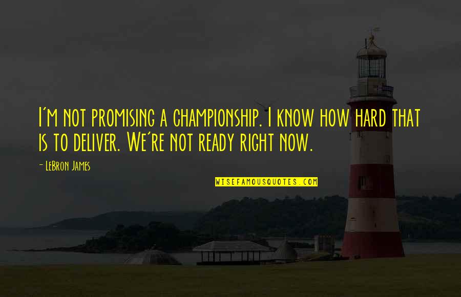 I Know It's Hard Right Now Quotes By LeBron James: I'm not promising a championship. I know how