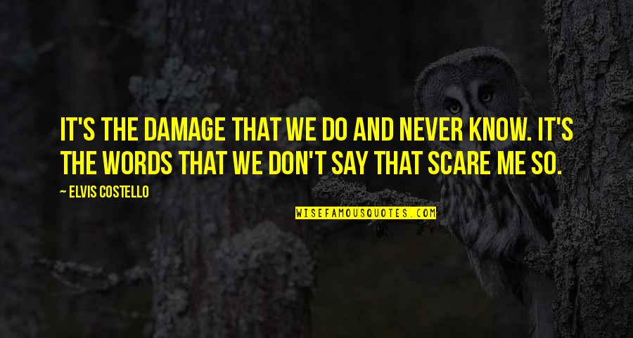 I Know More Than I Say Quotes By Elvis Costello: It's the damage that we do and never I Know More Than I Say Quotes By Elvis Costello: It's the damage that we do and never