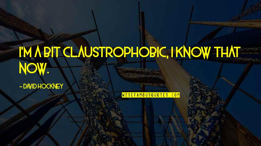 I Know Now Quotes By David Hockney: I'm a bit claustrophobic, I know that now.