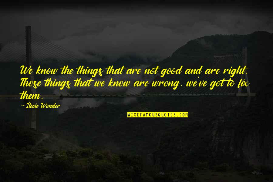 I Know Right From Wrong Quotes By Stevie Wonder: We know the things that are not good