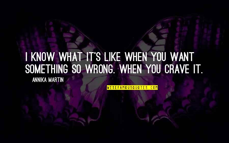 I Know Something Is Wrong Quotes By Annika Martin: I know what it's like when you want