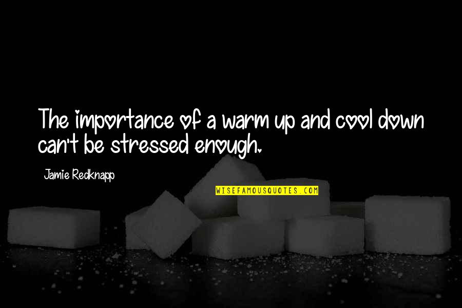 I Know What I Did Was Wrong Quotes By Jamie Redknapp: The importance of a warm up and cool