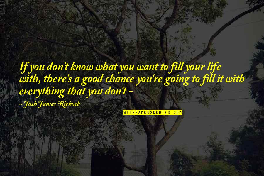 I Know What I Want In Life Quotes By Josh James Riebock: If you don't know what you want to