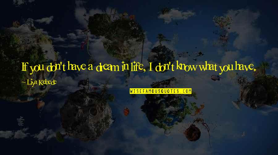 I Know What I Want In Life Quotes By Liya Kebede: If you don't have a dream in life,