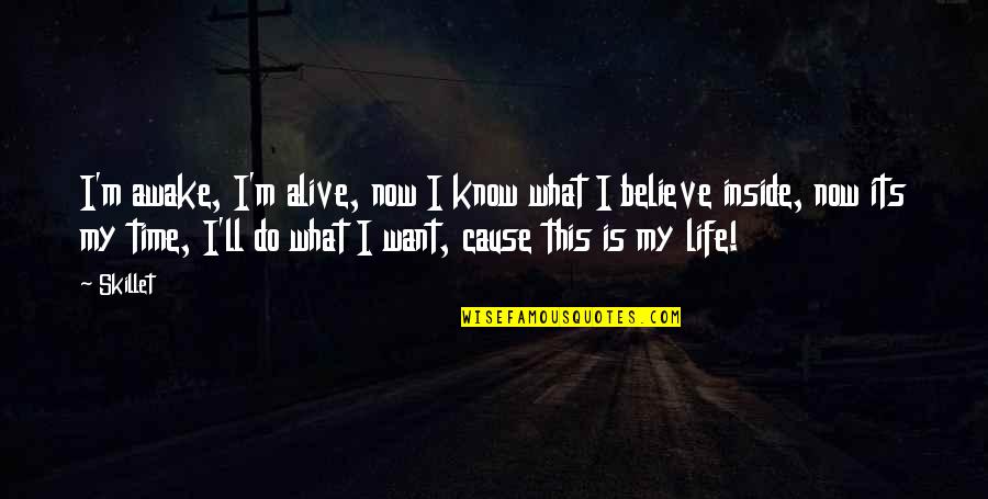 I Know What I Want In Life Quotes By Skillet: I'm awake, I'm alive, now I know what