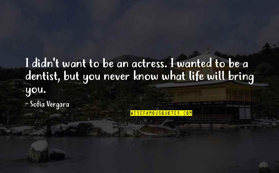 I Know What I Want Out Of Life Quotes By Sofia Vergara: I didn't want to be an actress. I