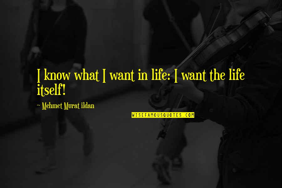 I Know What I Want Quotes By Mehmet Murat Ildan: I know what I want in life: I