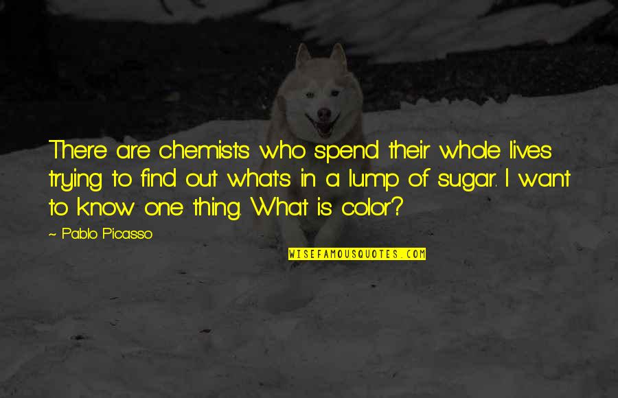 I Know What I Want Quotes By Pablo Picasso: There are chemists who spend their whole lives