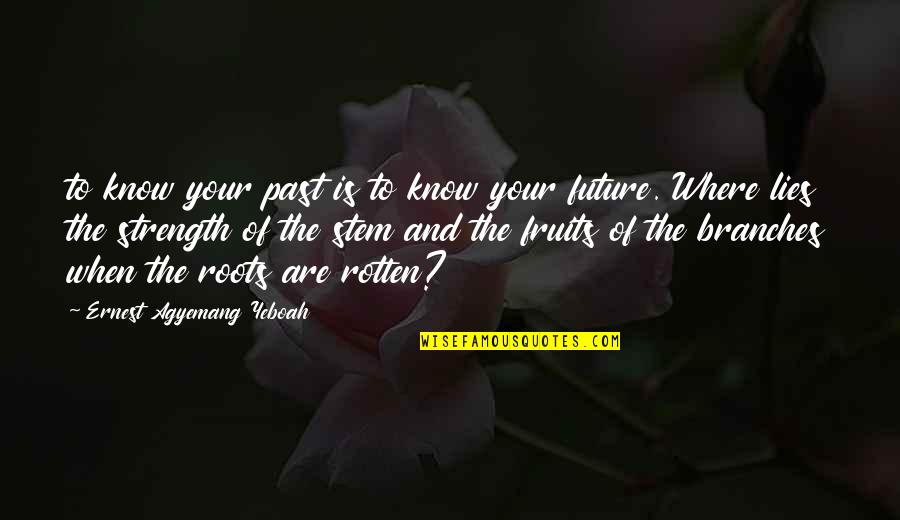 I Know Where I Came From Quotes By Ernest Agyemang Yeboah: to know your past is to know your I Know Where I Came From Quotes By Ernest Agyemang Yeboah: to know your past is to know your