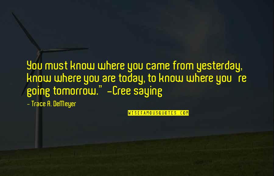 I Know Where I Came From Quotes By Trace A. DeMeyer: You must know where you came from yesterday, I Know Where I Came From Quotes By Trace A. DeMeyer: You must know where you came from yesterday,
