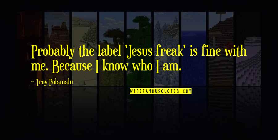 I Know Who Am I Quotes By Troy Polamalu: Probably the label 'Jesus freak' is fine with