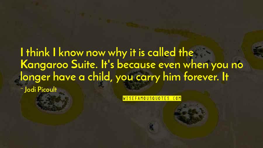 I Know You Now Quotes By Jodi Picoult: I think I know now why it is