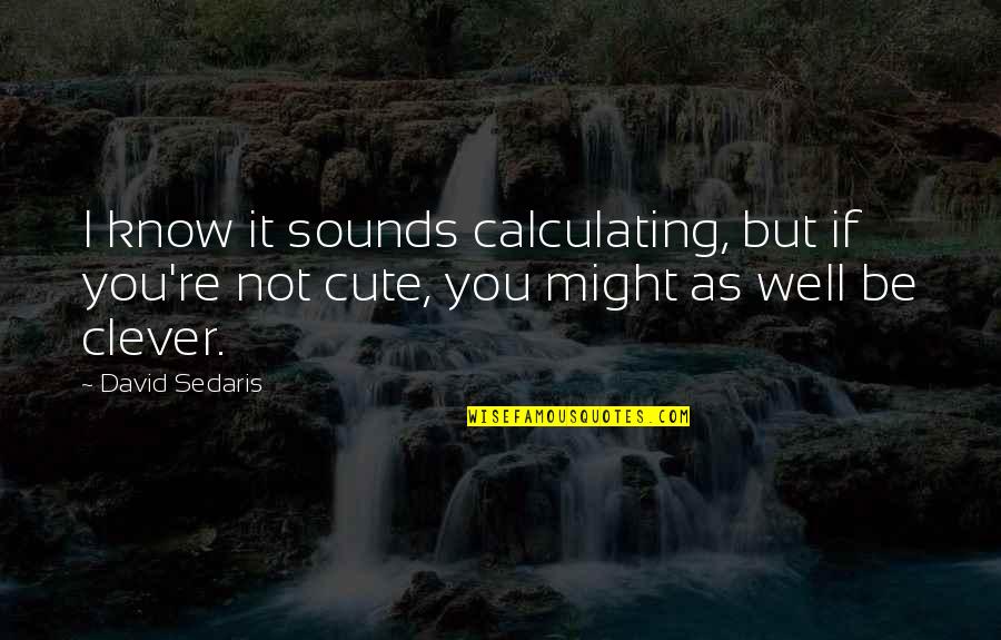 I Know You Quotes By David Sedaris: I know it sounds calculating, but if you're