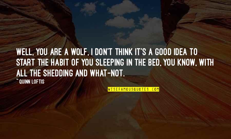 I Know You Sleeping Quotes By Quinn Loftis: Well, you are a wolf, I don't think