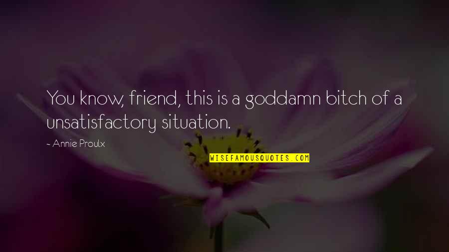 I Know You're My Best Friend Quotes By Annie Proulx: You know, friend, this is a goddamn bitch