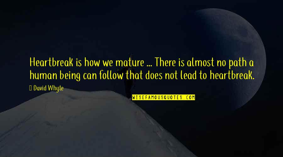 I Lead You Follow Quotes By David Whyte: Heartbreak is how we mature ... There is