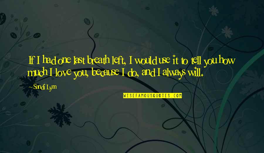 I Left Because Quotes By Sandi Lynn: If I had one last breath left, I