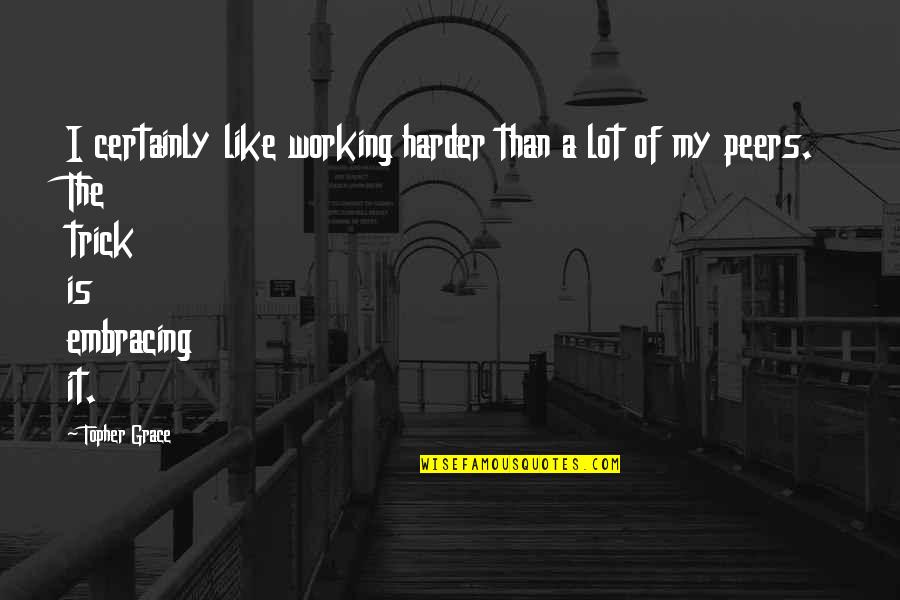 I Like It A Lot Quotes By Topher Grace: I certainly like working harder than a lot