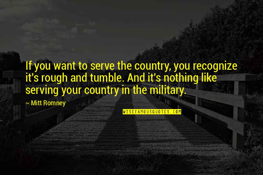 I Like It Rough Quotes By Mitt Romney: If you want to serve the country, you