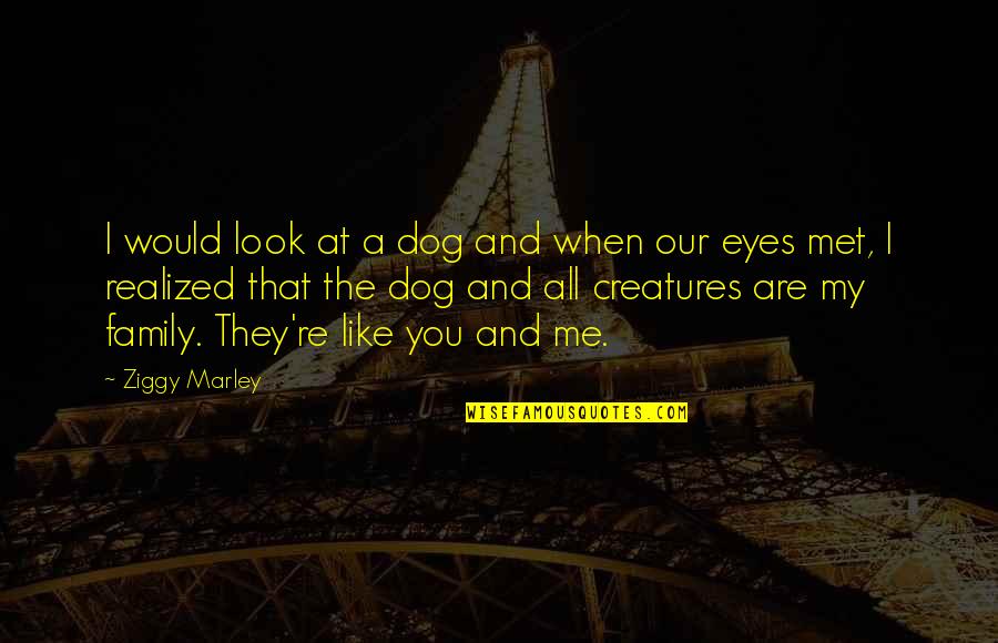 I Like Me Quotes By Ziggy Marley: I would look at a dog and when