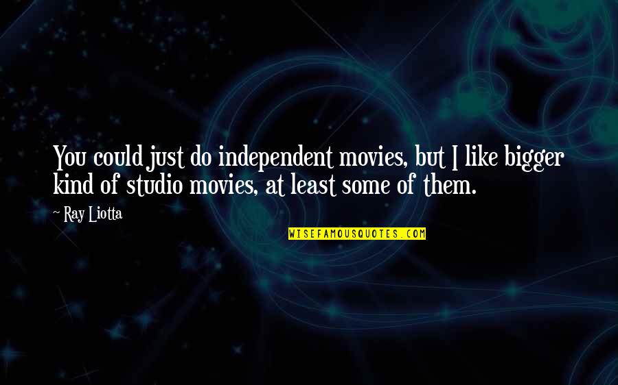 I Like Them Quotes By Ray Liotta: You could just do independent movies, but I