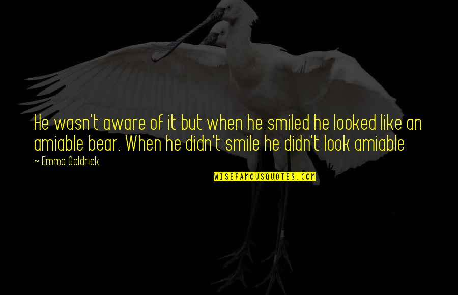 I Like When You Smile Quotes By Emma Goldrick: He wasn't aware of it but when he