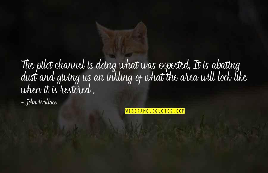 I Like You More Than I Expected Quotes By John Wallace: The pilot channel is doing what was expected.