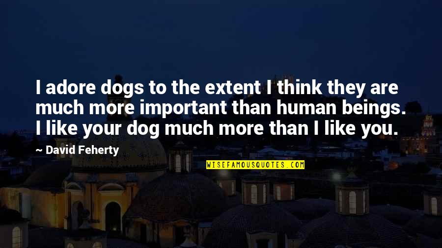 I Like You More Than Quotes By David Feherty: I adore dogs to the extent I think