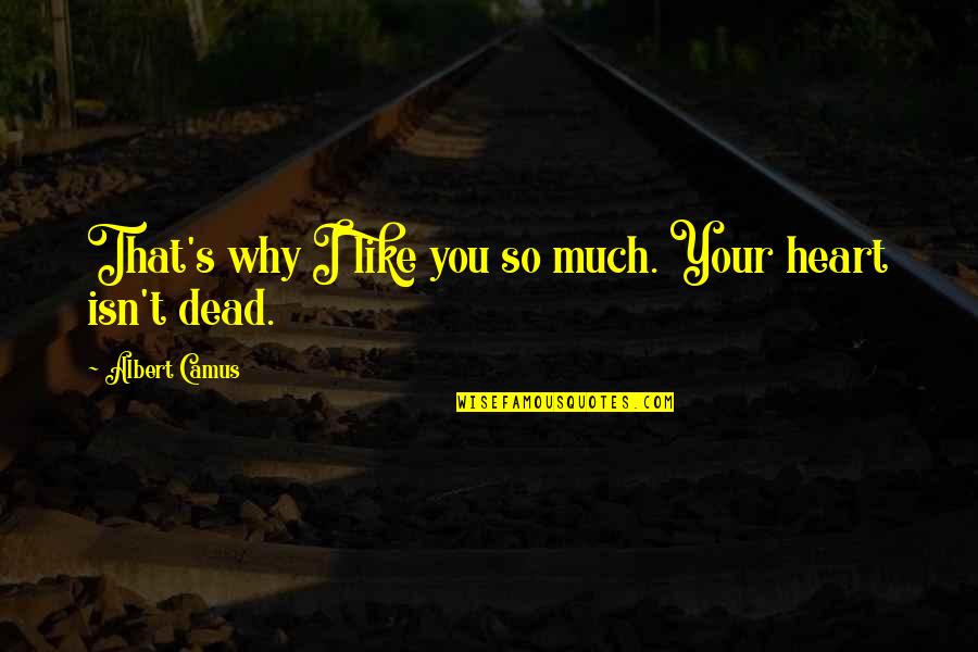I Like You So Much Quotes By Albert Camus: That's why I like you so much. Your I Like You So Much Quotes By Albert Camus: That's why I like you so much. Your