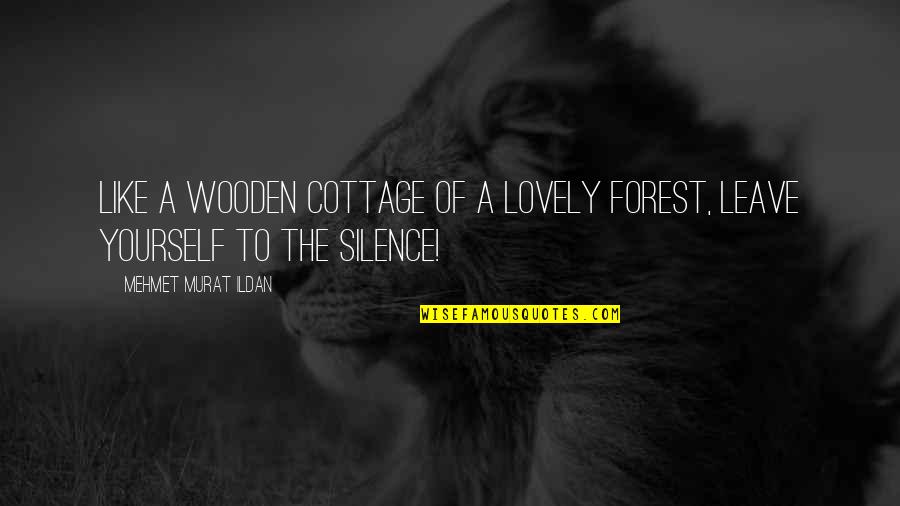 I Like Your Silence Quotes By Mehmet Murat Ildan: Like a wooden cottage of a lovely forest,