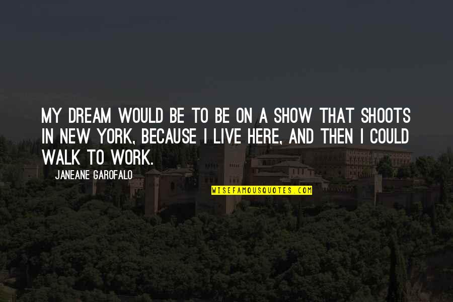 I Live Because Quotes By Janeane Garofalo: My dream would be to be on a